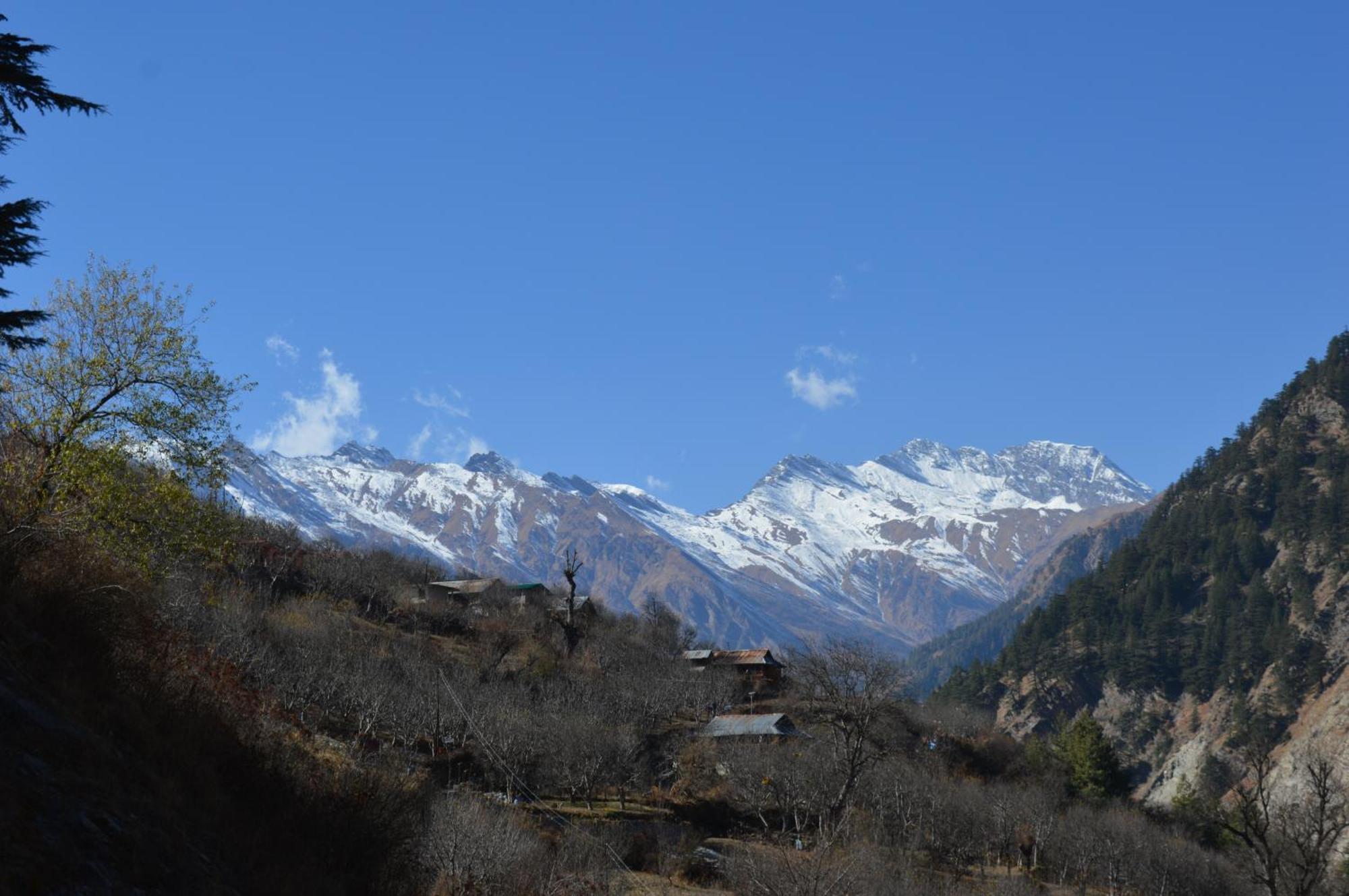 Laxmi Narayan Homestay-Harshil Harsil Zewnętrze zdjęcie